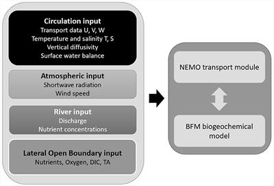 Projected climate oligotrophication of the Adriatic marine ecosystems